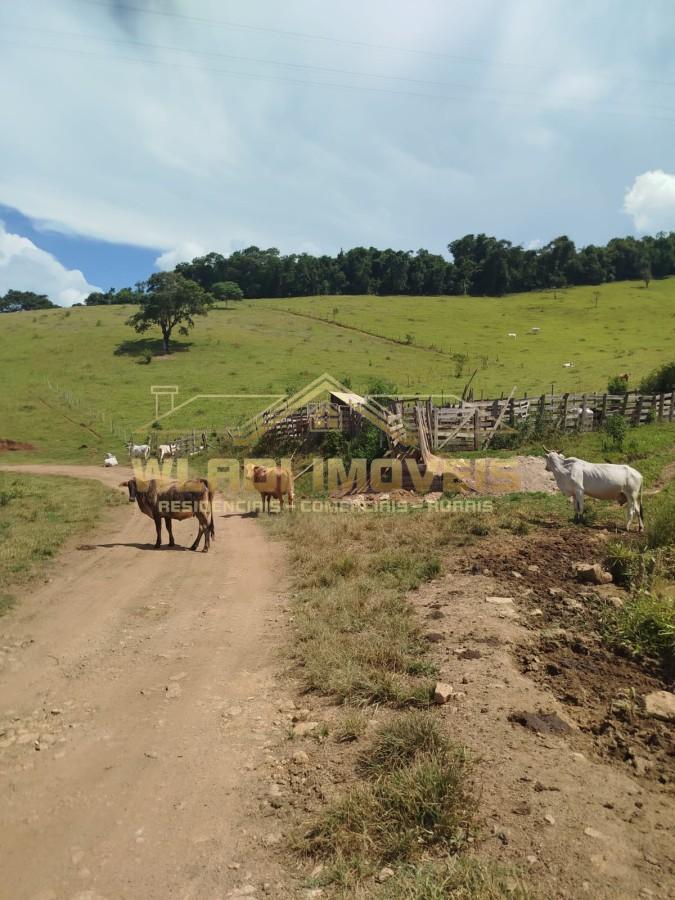 Sítio, 18 m² - Foto 4