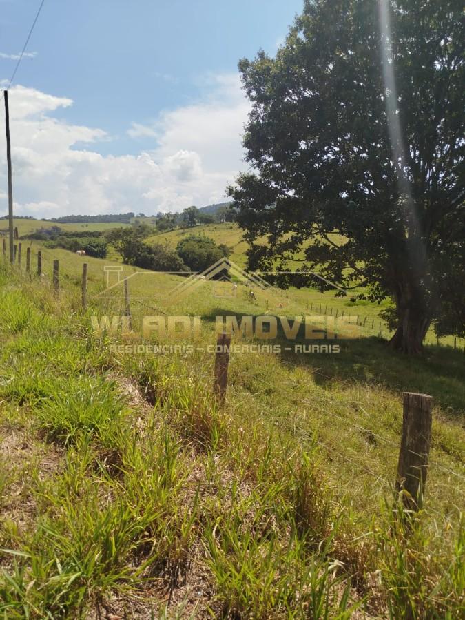 Sítio, 18 m² - Foto 10