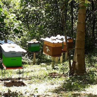 Fazenda, 20 m² - Foto 15