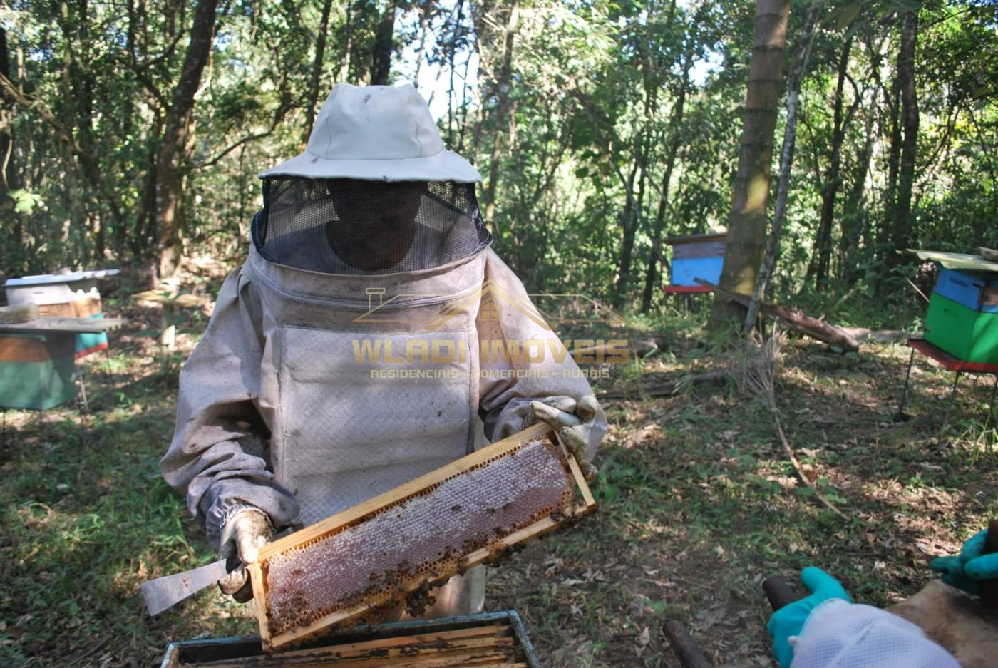 Fazenda, 20 m² - Foto 18