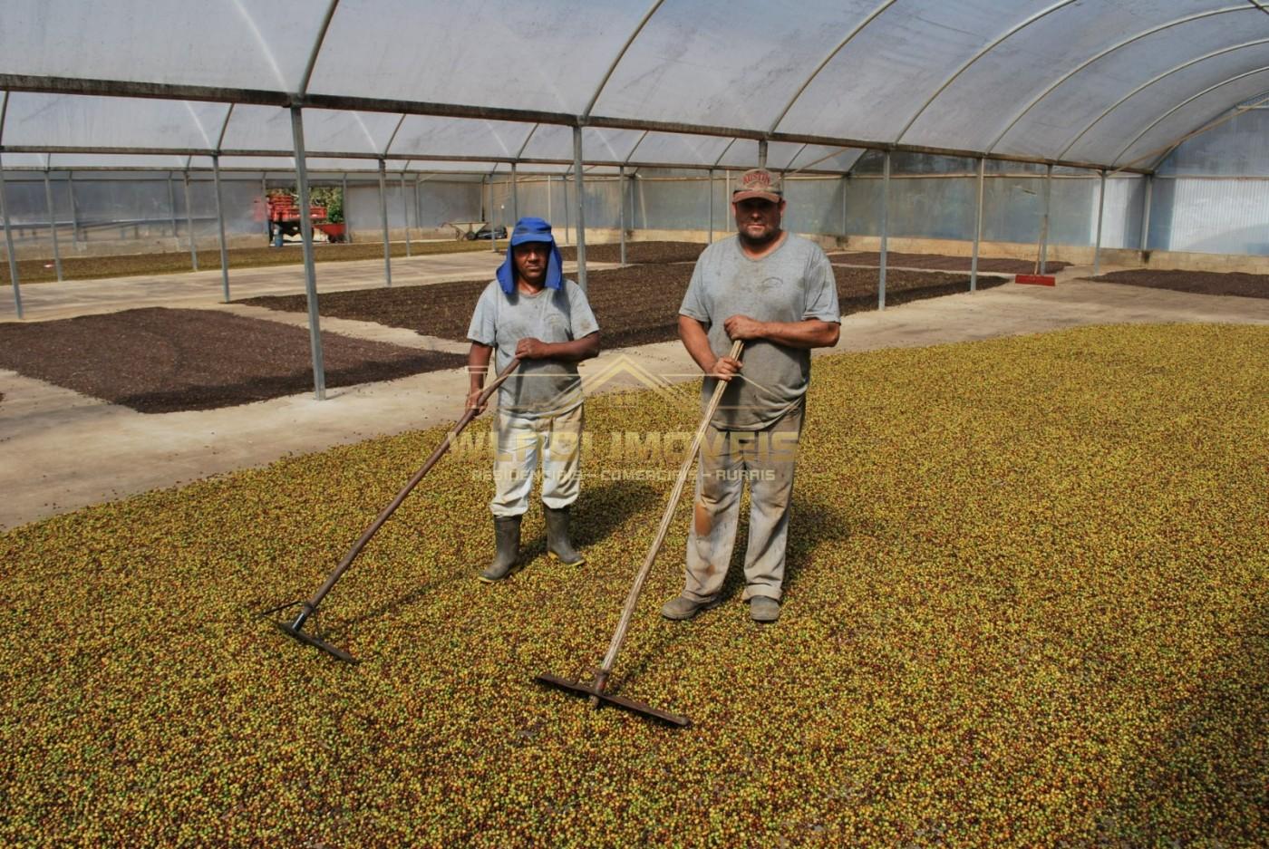 Fazenda, 20 m² - Foto 6