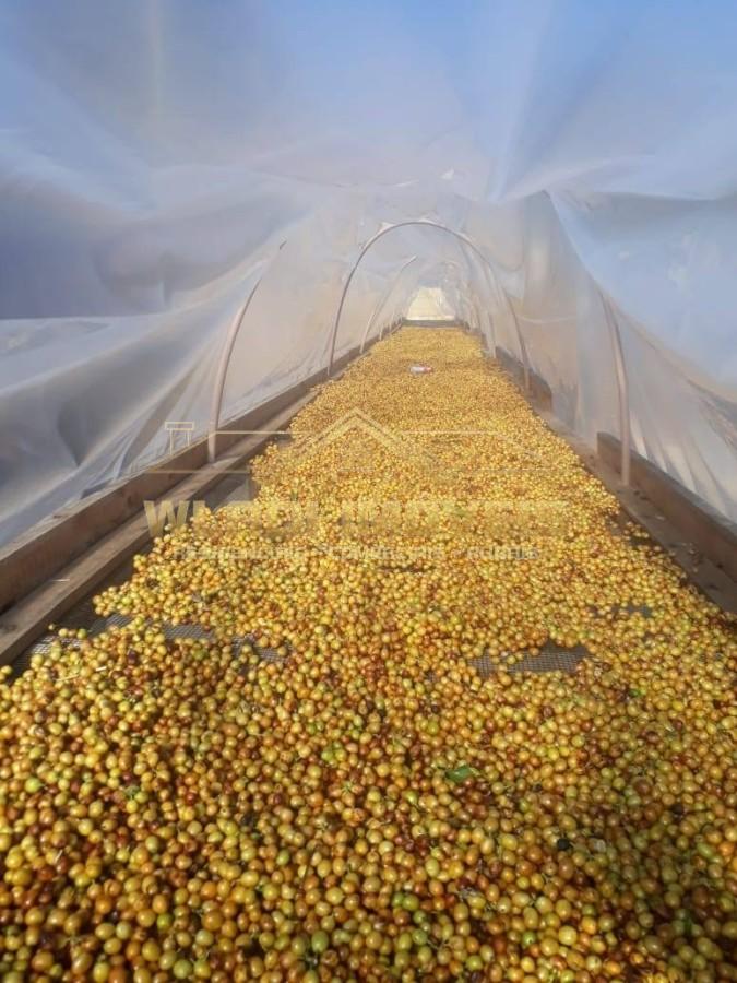 Fazenda, 20 m² - Foto 16