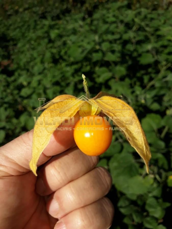 Fazenda, 20 m² - Foto 7