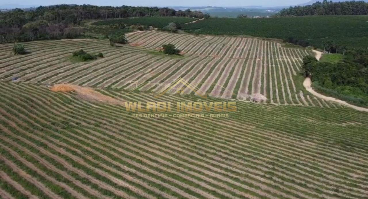 Fazenda, 86 m² - Foto 5