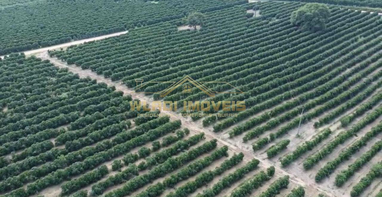 Fazenda, 86 m² - Foto 1