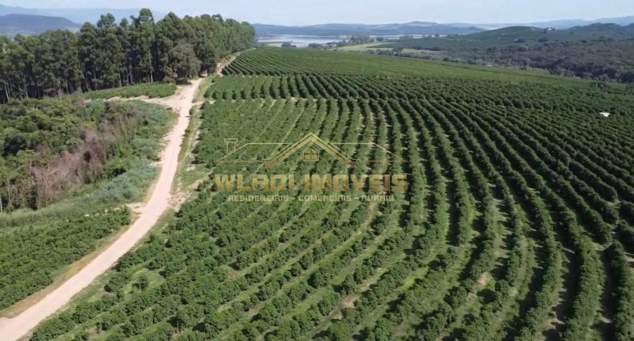 Fazenda, 86 m² - Foto 8