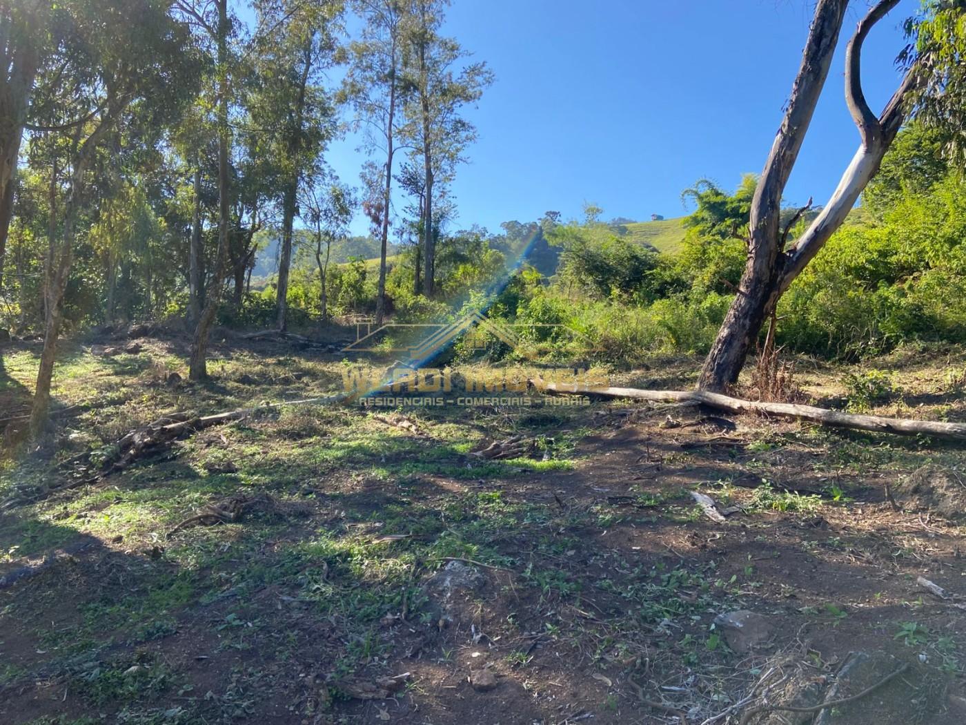 Terreno, 4 hectares - Foto 5