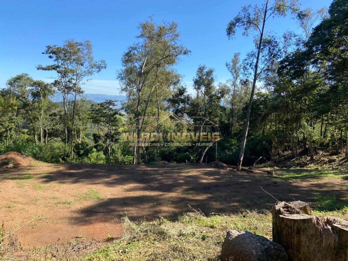 Terreno, 4 hectares - Foto 6