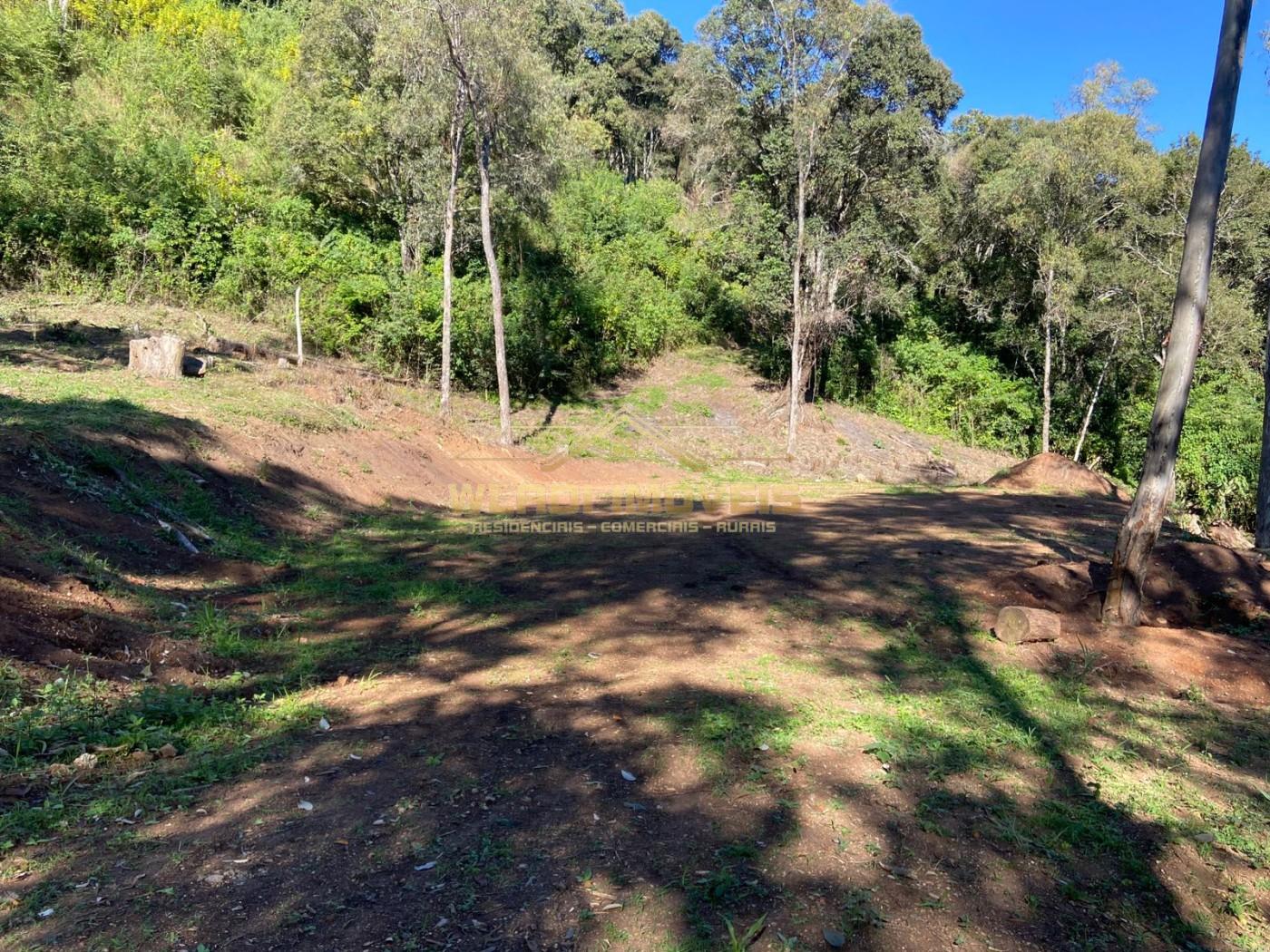 Terreno, 4 hectares - Foto 4