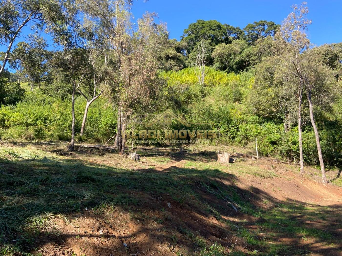 Terreno, 4 hectares - Foto 2