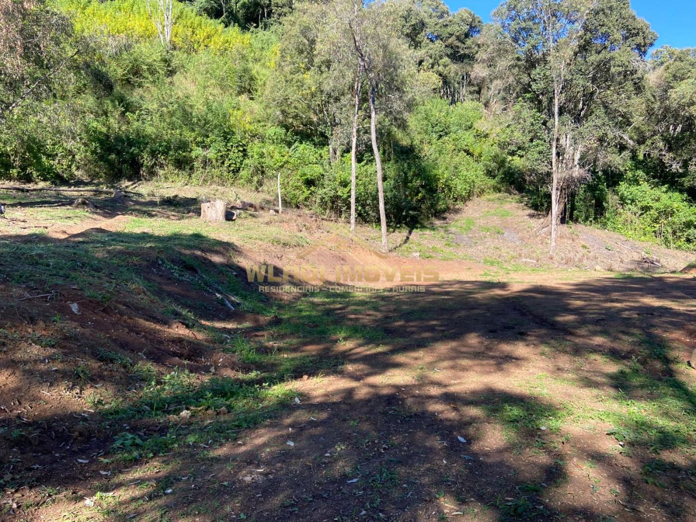 Terreno, 4 hectares - Foto 7