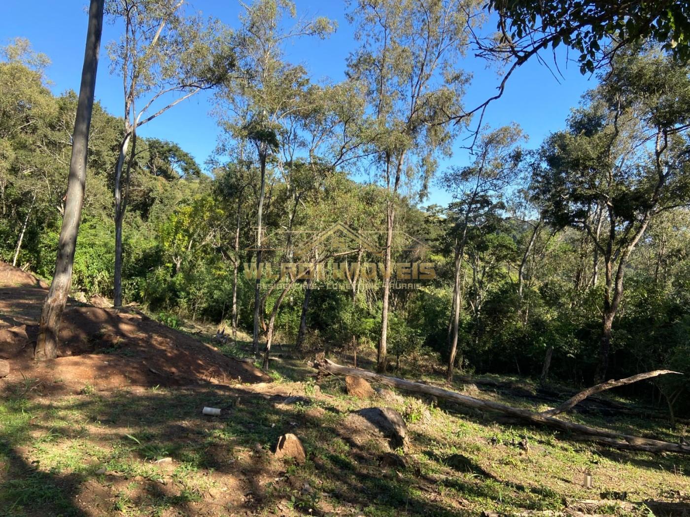 Terreno, 4 hectares - Foto 9