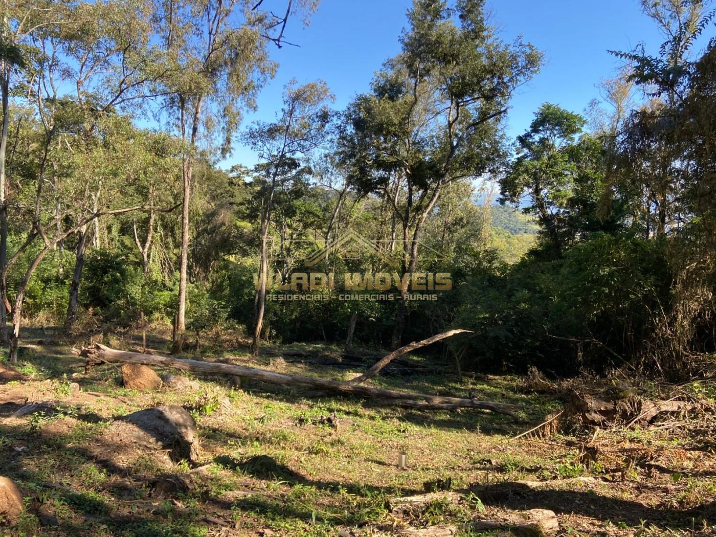 Terreno, 4 hectares - Foto 8