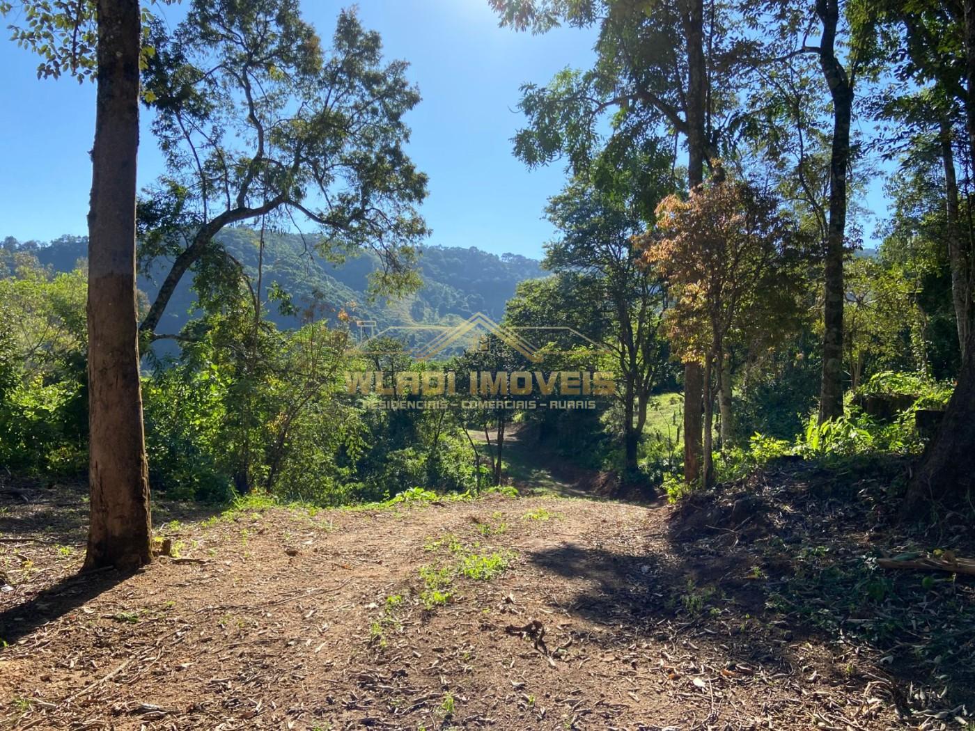 Terreno, 4 hectares - Foto 1