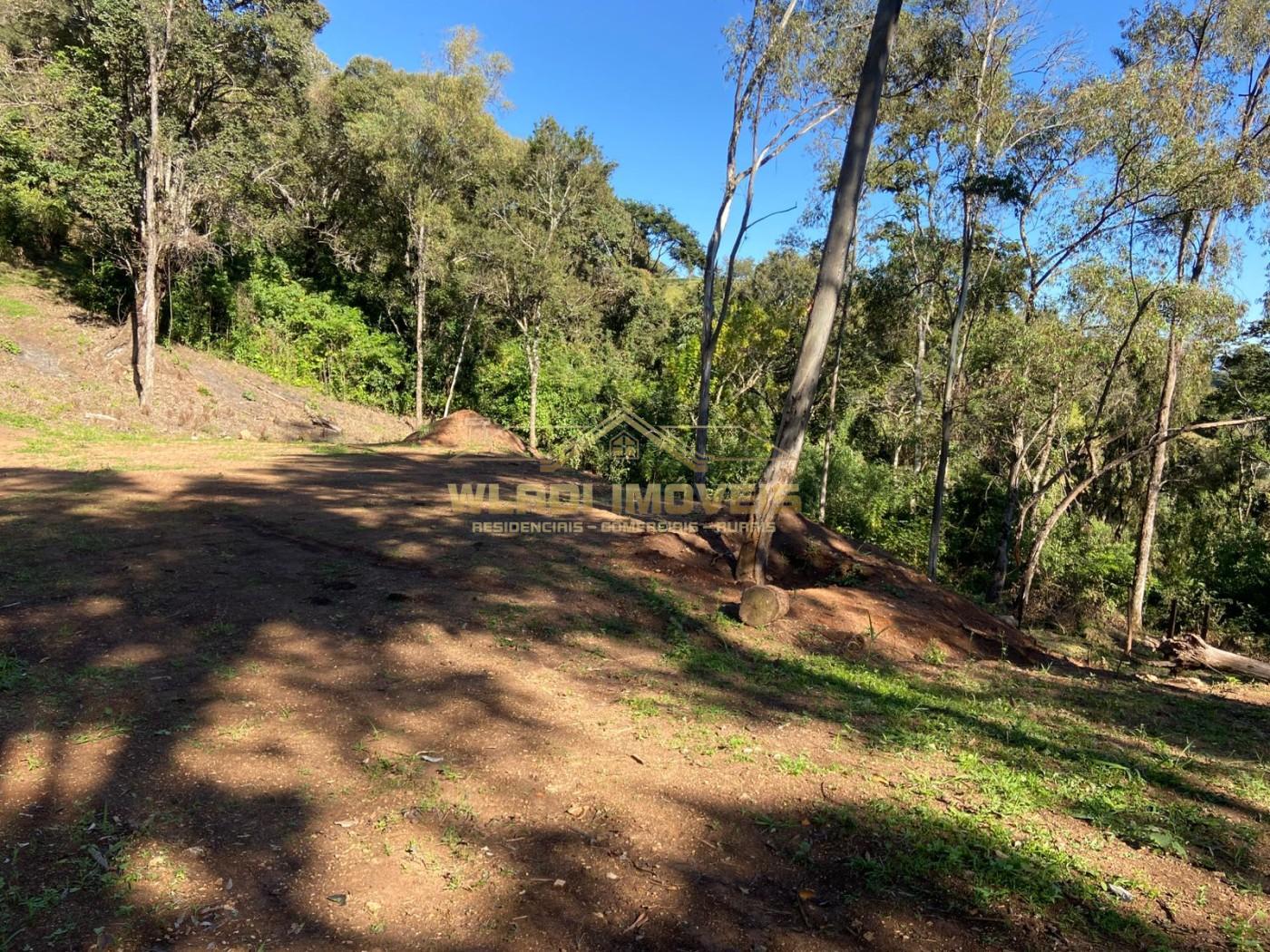 Terreno, 4 hectares - Foto 13