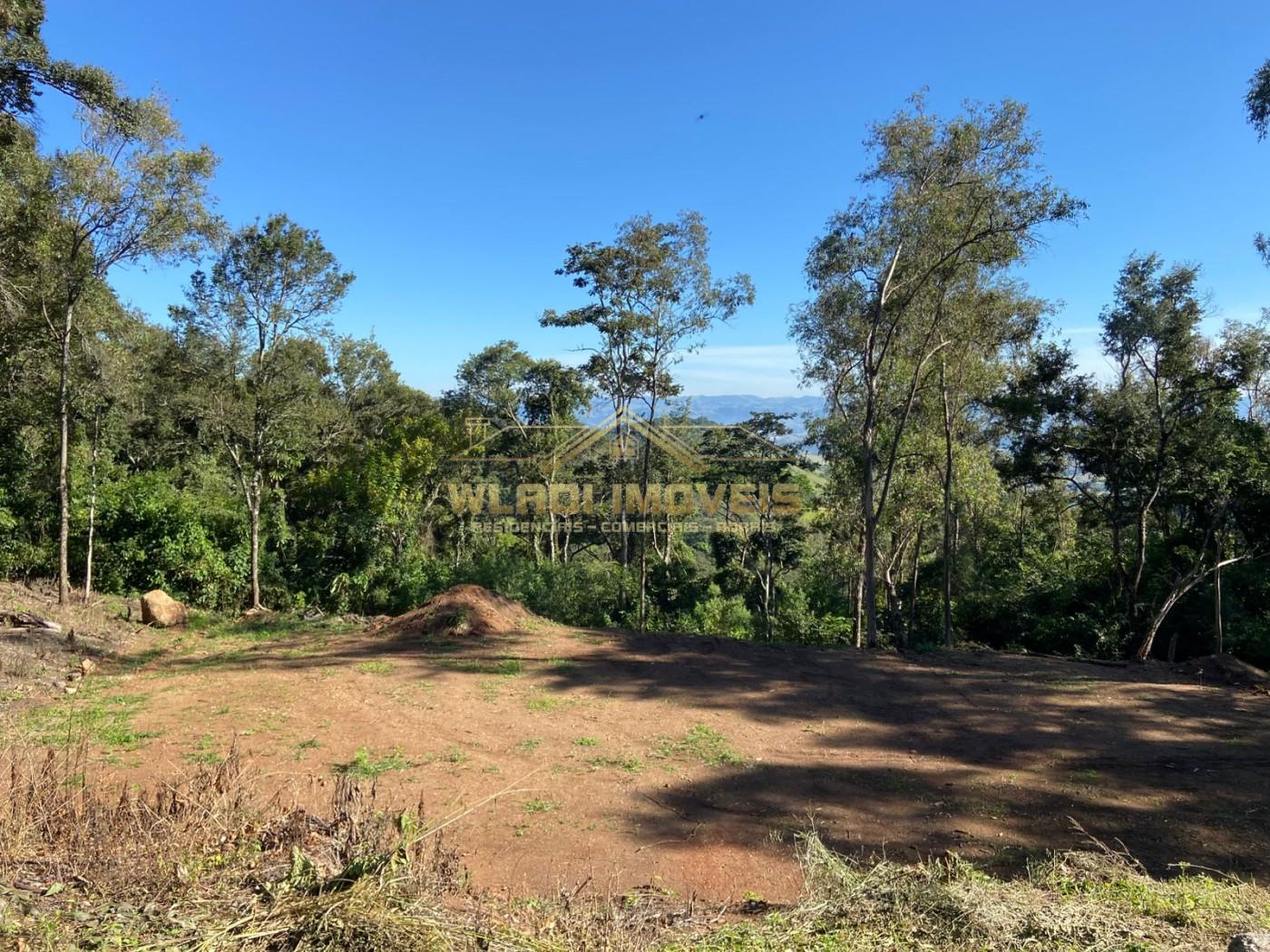 Terreno, 4 hectares - Foto 15