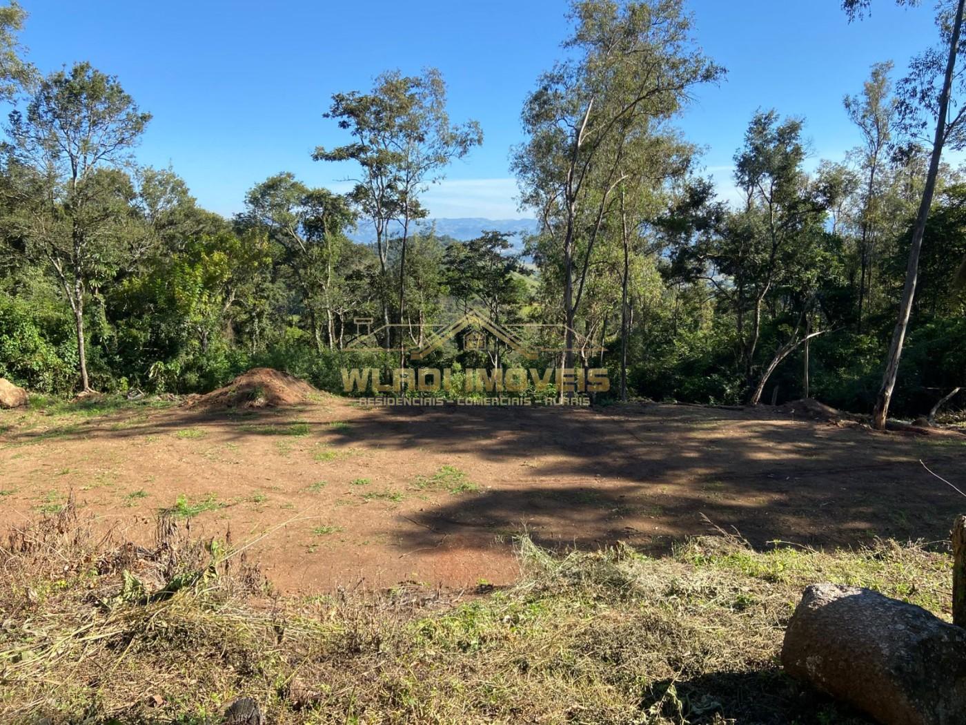 Terreno, 4 hectares - Foto 3