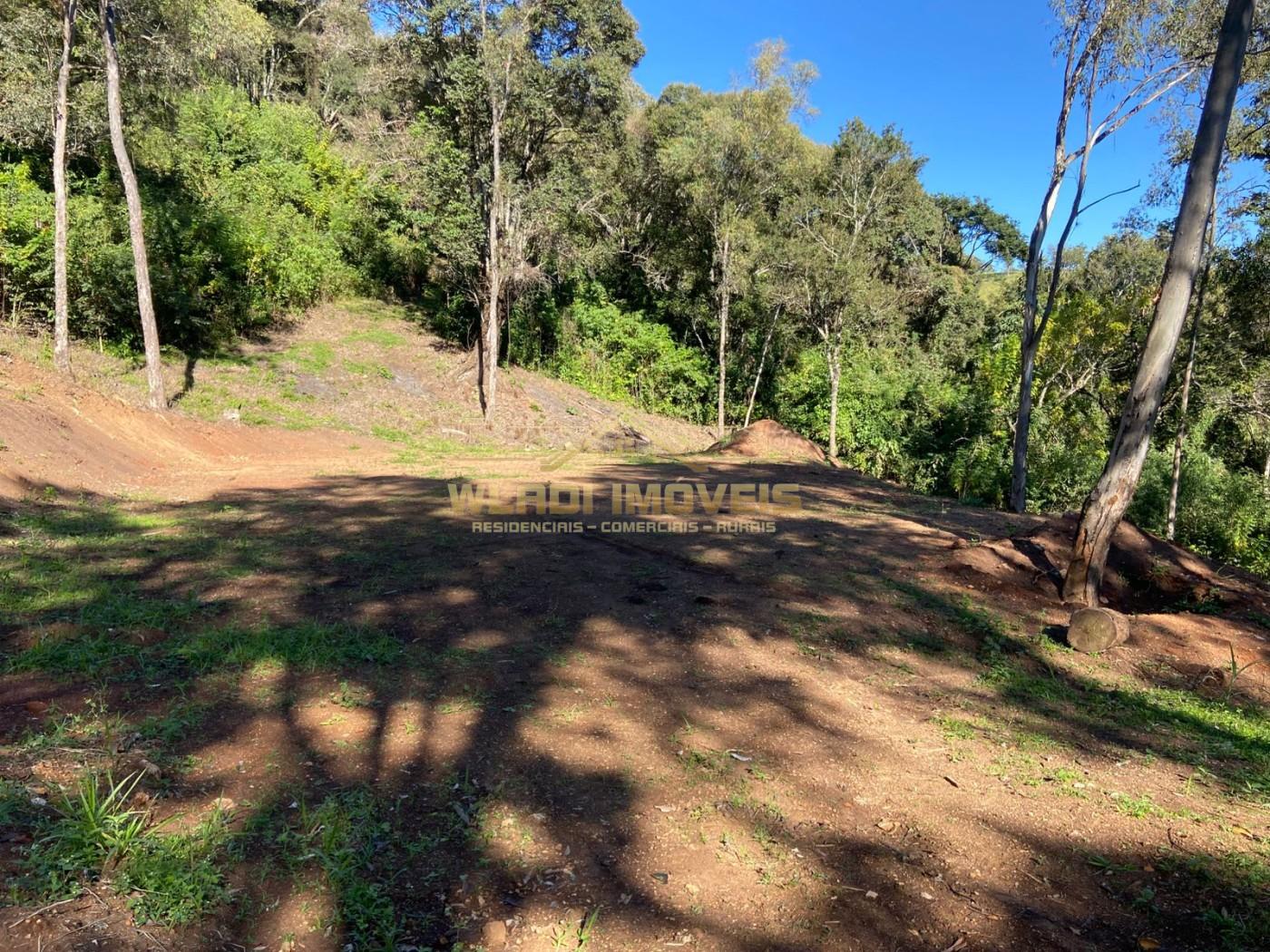 Terreno, 4 hectares - Foto 16