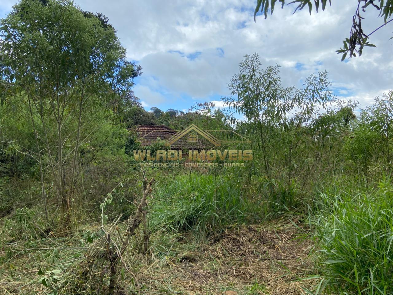 Terreno, 4 hectares - Foto 21