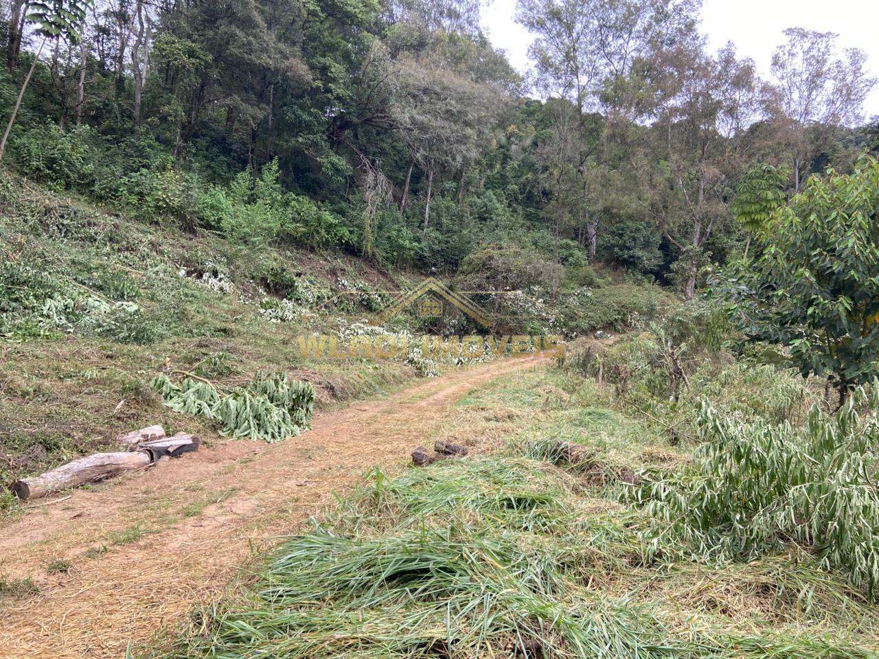 Terreno, 4 hectares - Foto 20