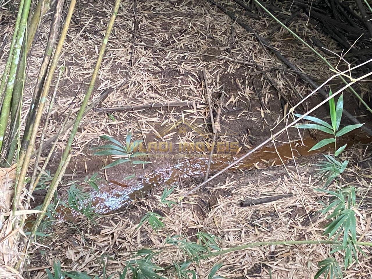 Terreno, 4 hectares - Foto 23