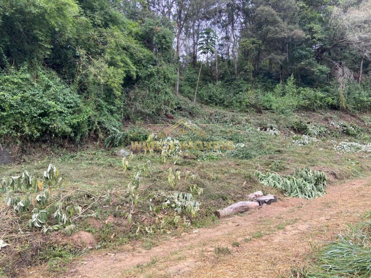 Terreno, 4 hectares - Foto 24