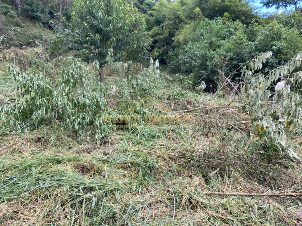 Terreno, 4 hectares - Foto 22