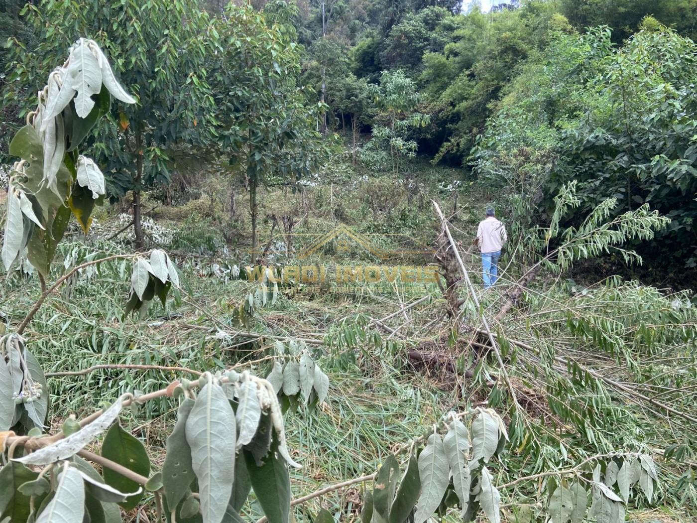 Terreno, 4 hectares - Foto 26