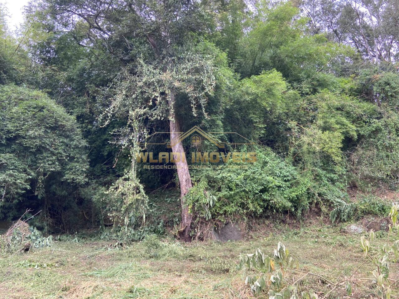 Terreno, 4 hectares - Foto 25