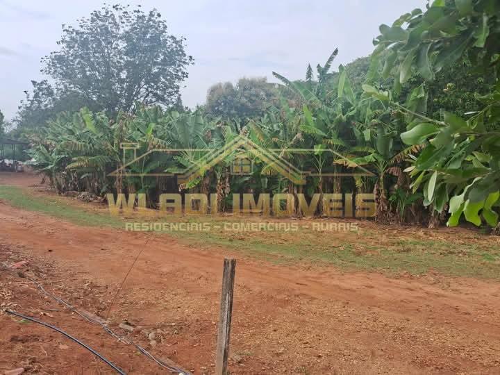 Sítio, 10 hectares - Foto 2