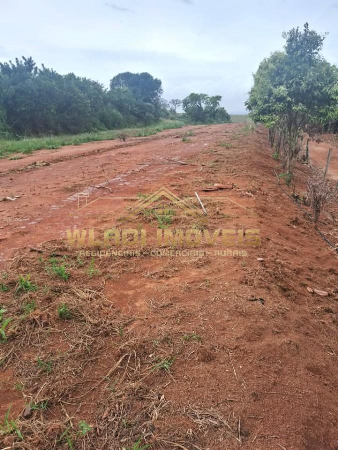 Sítio, 10 hectares - Foto 1