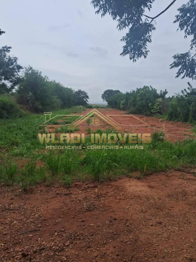 Sítio, 10 hectares - Foto 6