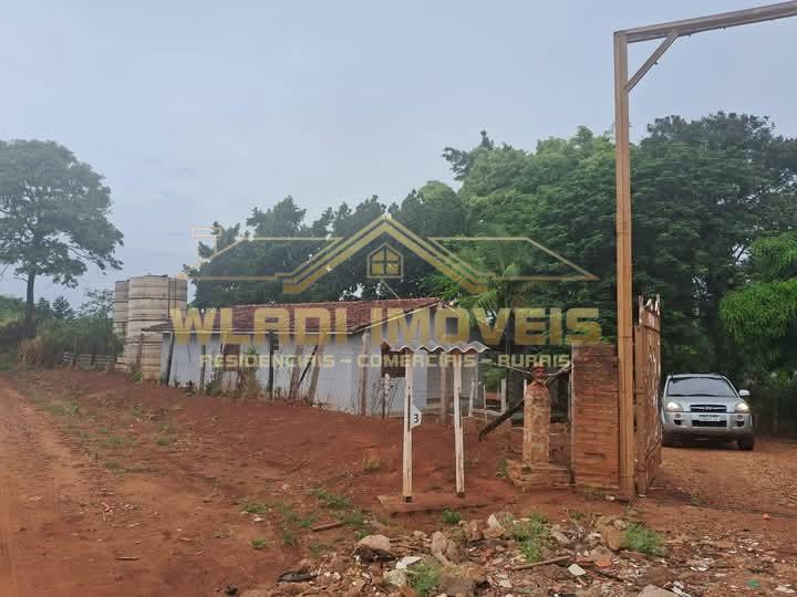 Sítio, 10 hectares - Foto 7