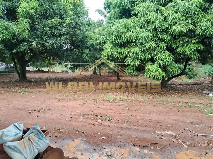 Sítio, 10 hectares - Foto 11