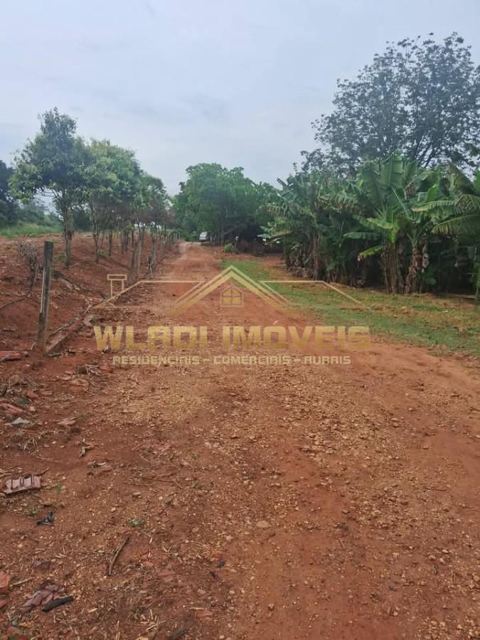 Sítio, 10 hectares - Foto 3