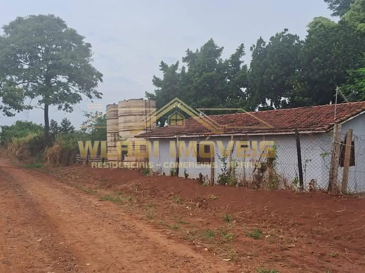 Sítio, 10 hectares - Foto 10