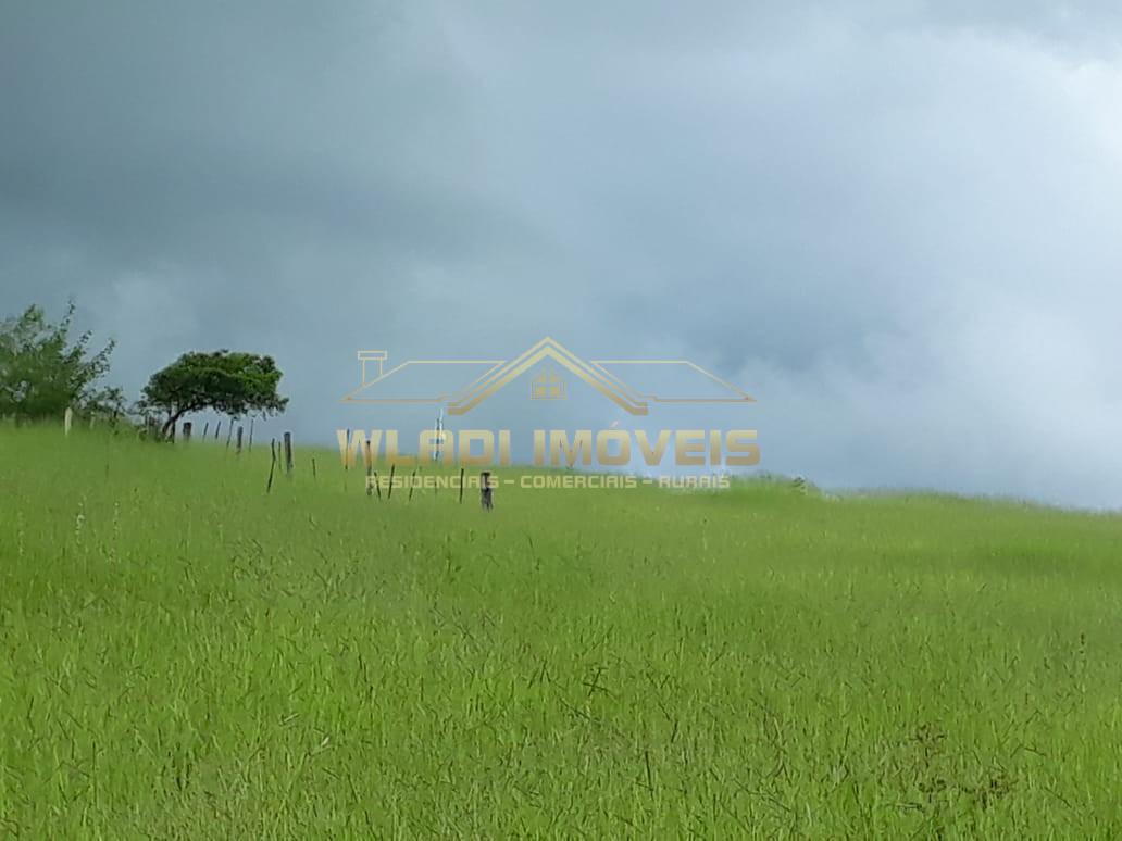 Chácara, 1 hectares - Foto 40