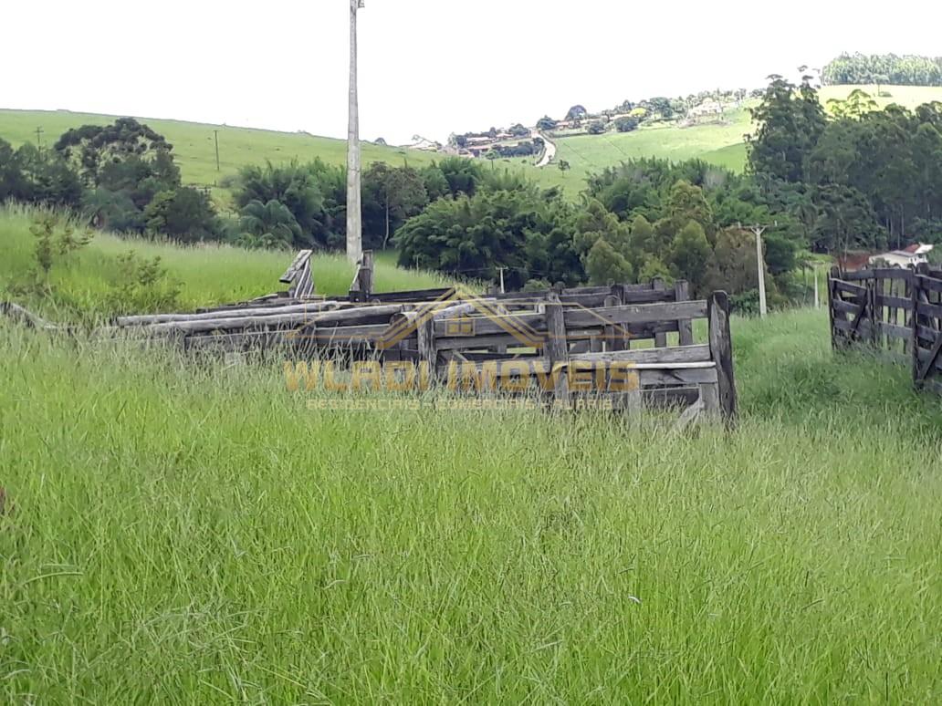 Chácara, 1 hectares - Foto 44