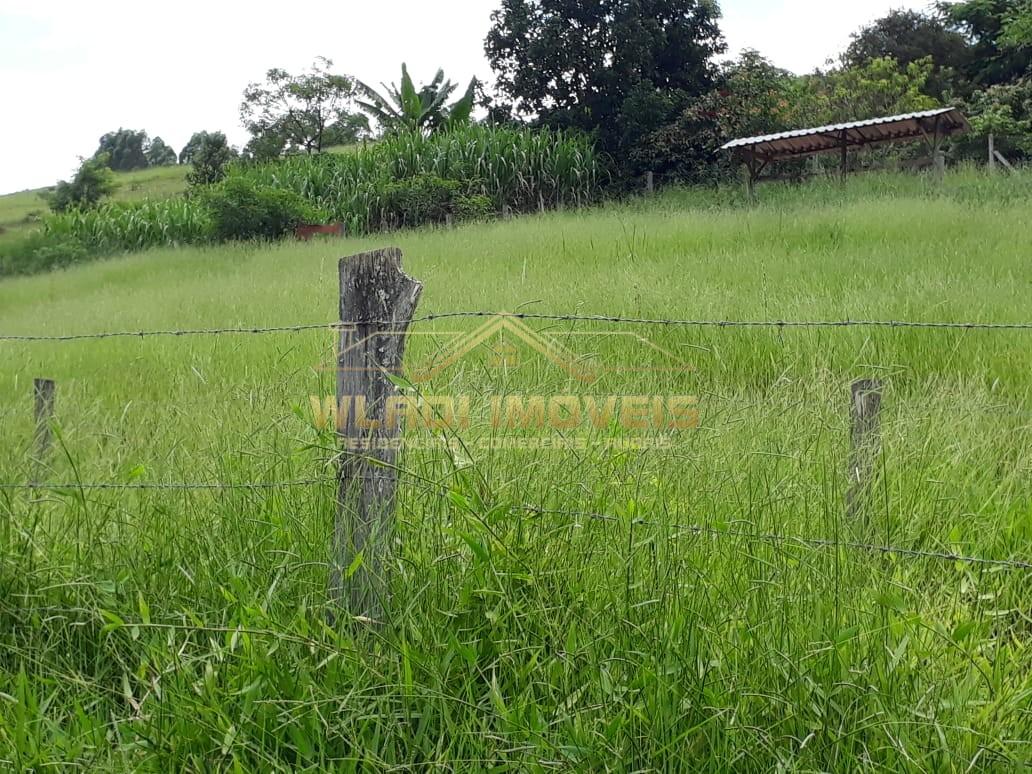 Chácara, 1 hectares - Foto 46