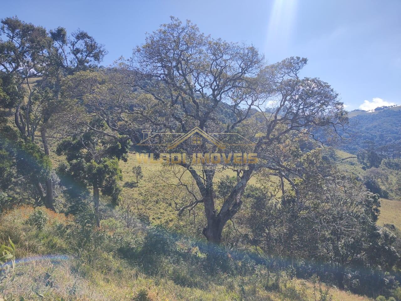 Terreno, 16 m² - Foto 5