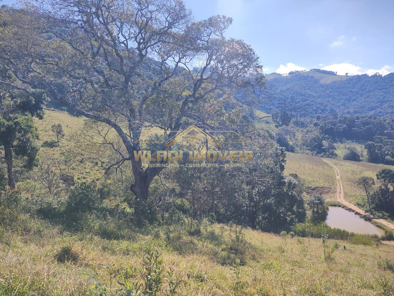 Terreno, 16 m² - Foto 6