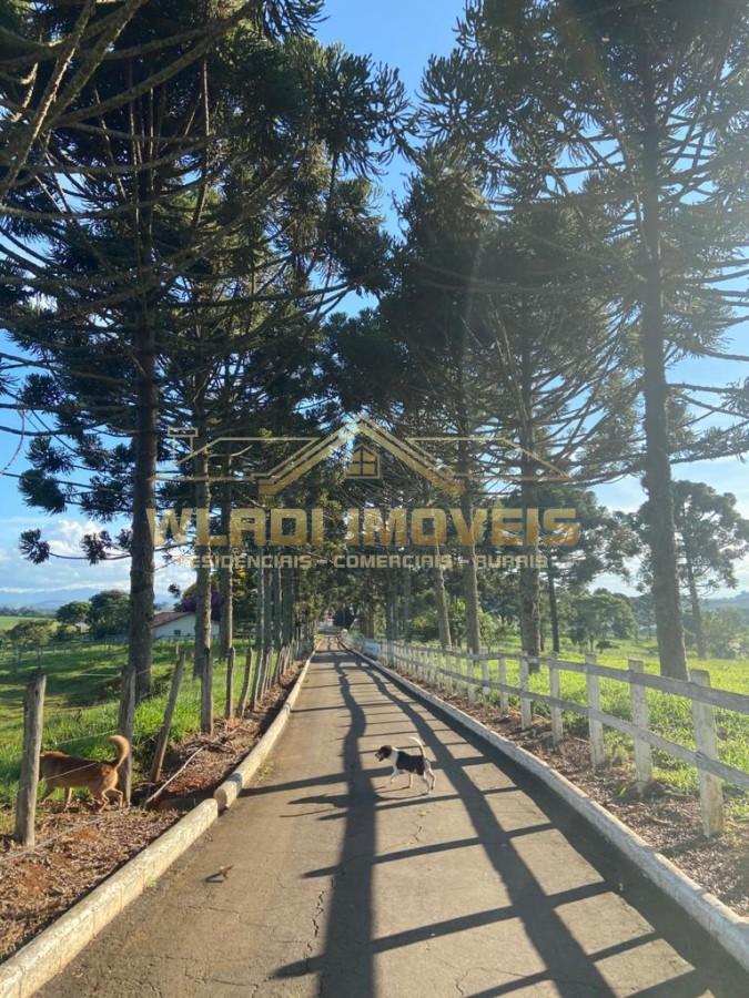 Fazenda, 430 m² - Foto 7