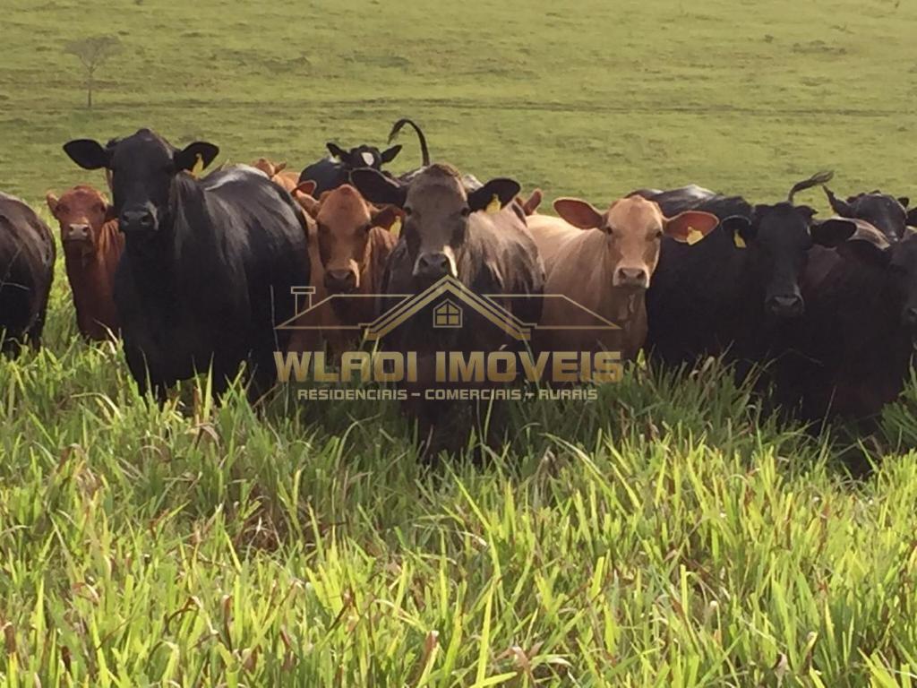 Fazenda, 430 m² - Foto 10