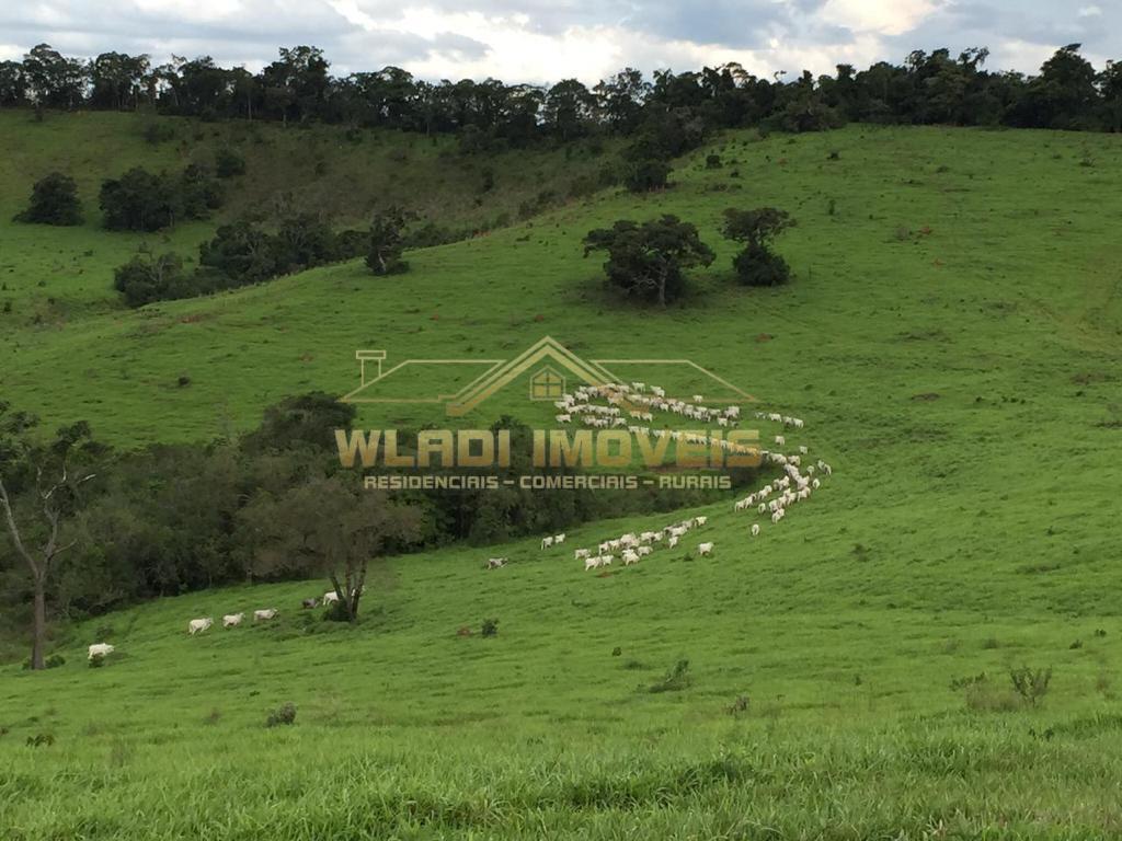 Fazenda, 430 m² - Foto 11