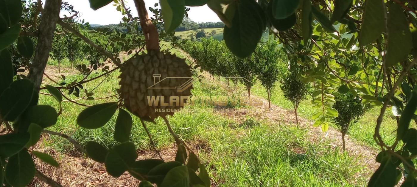 Fazenda, 64 m² - Foto 4