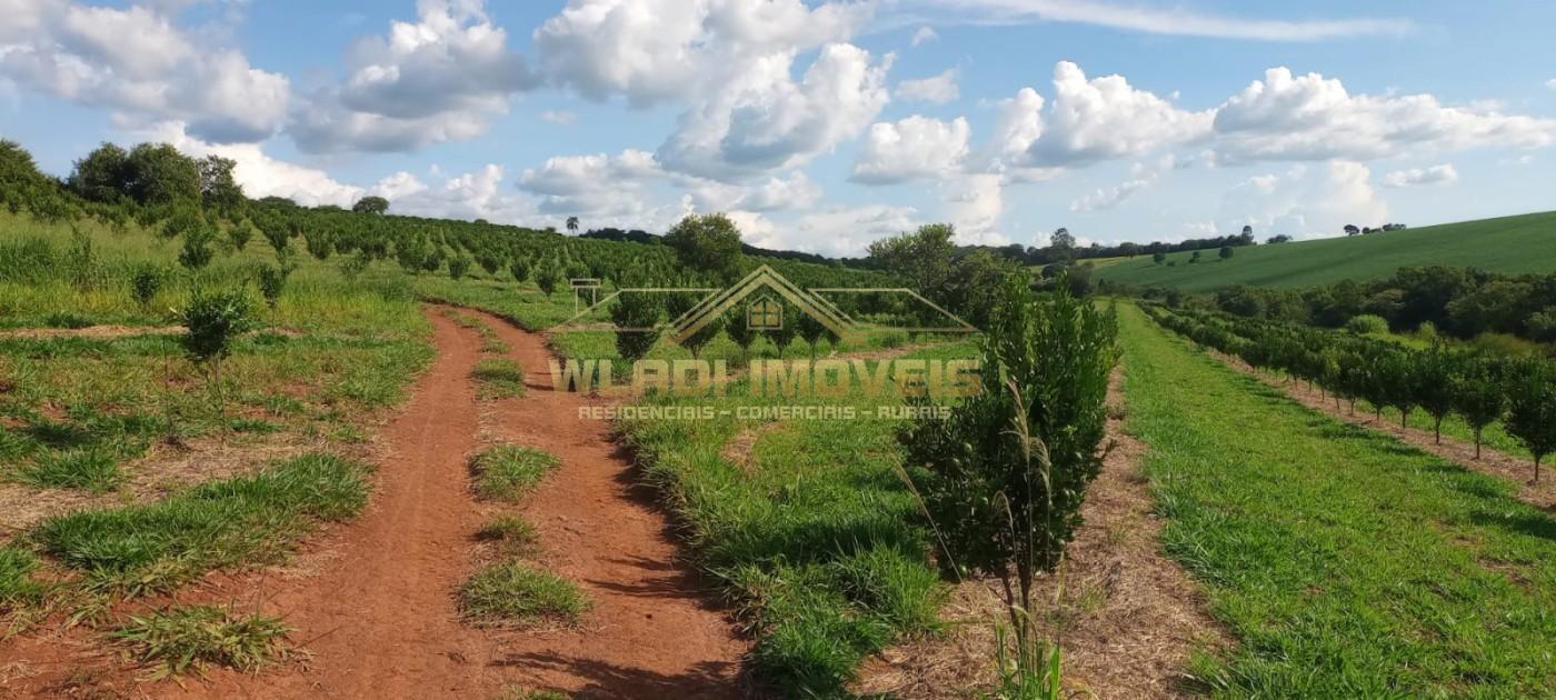 Fazenda, 64 m² - Foto 6