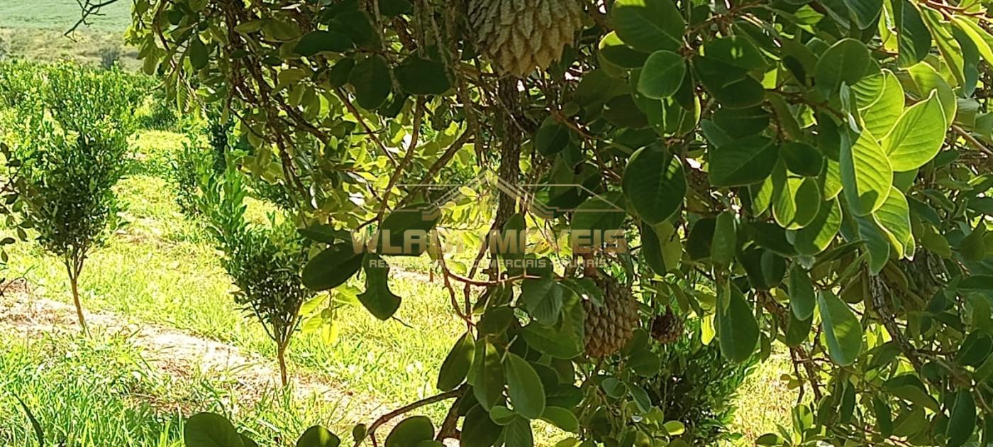 Fazenda, 64 m² - Foto 7