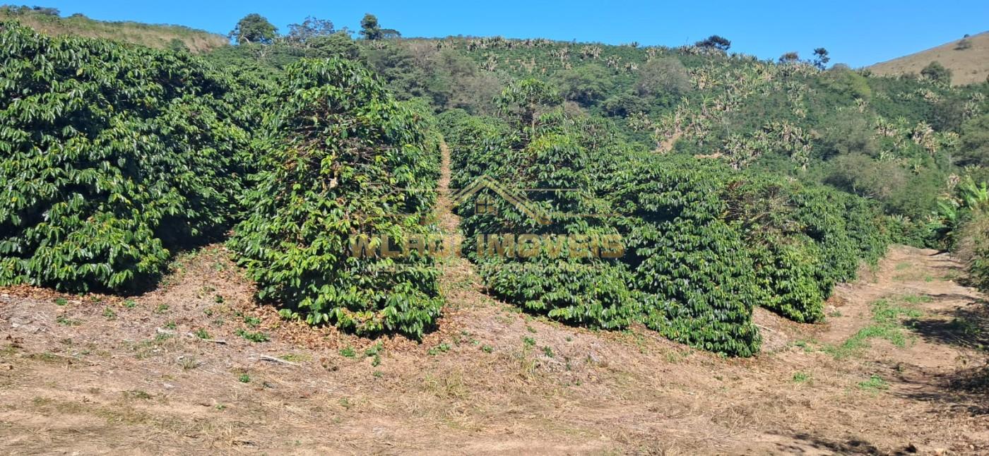 Fazenda, 32 m² - Foto 5