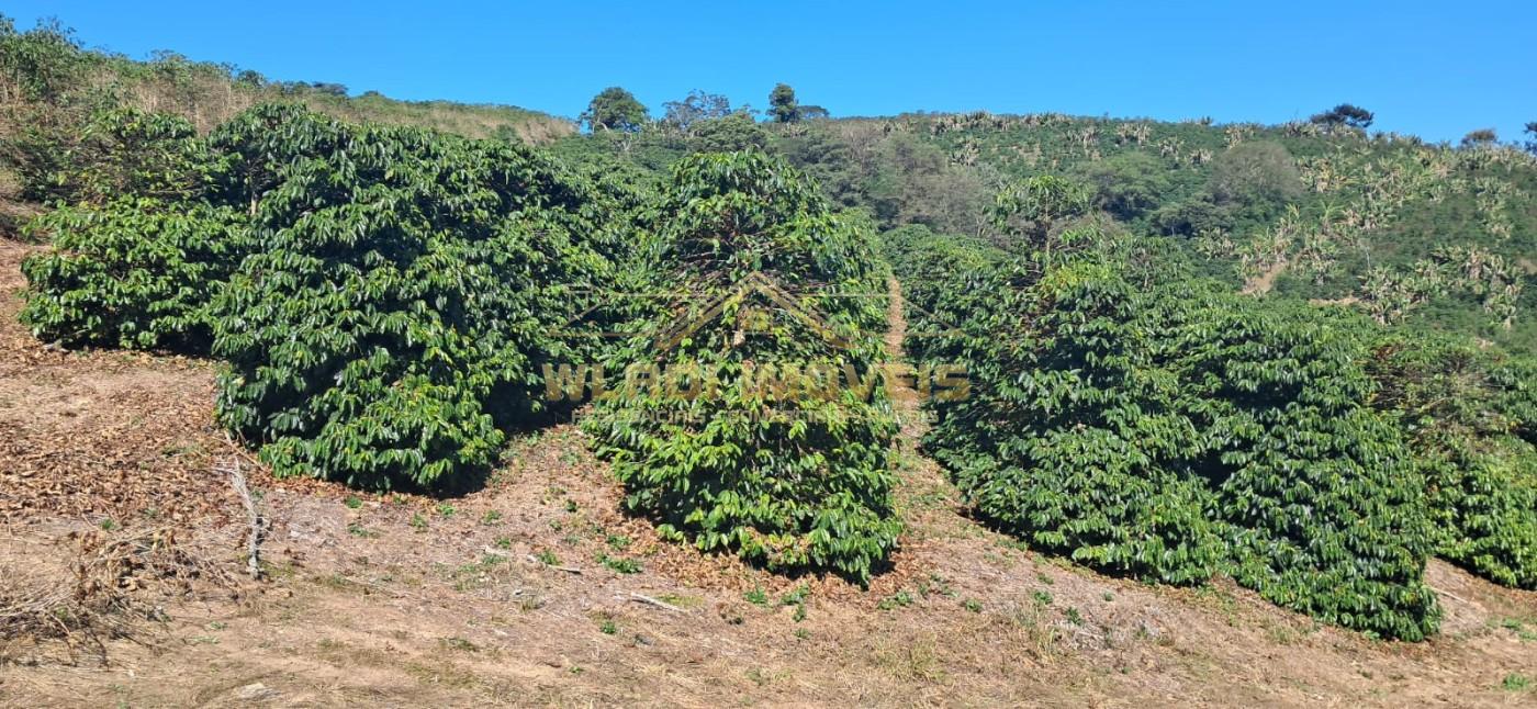 Fazenda, 32 m² - Foto 6