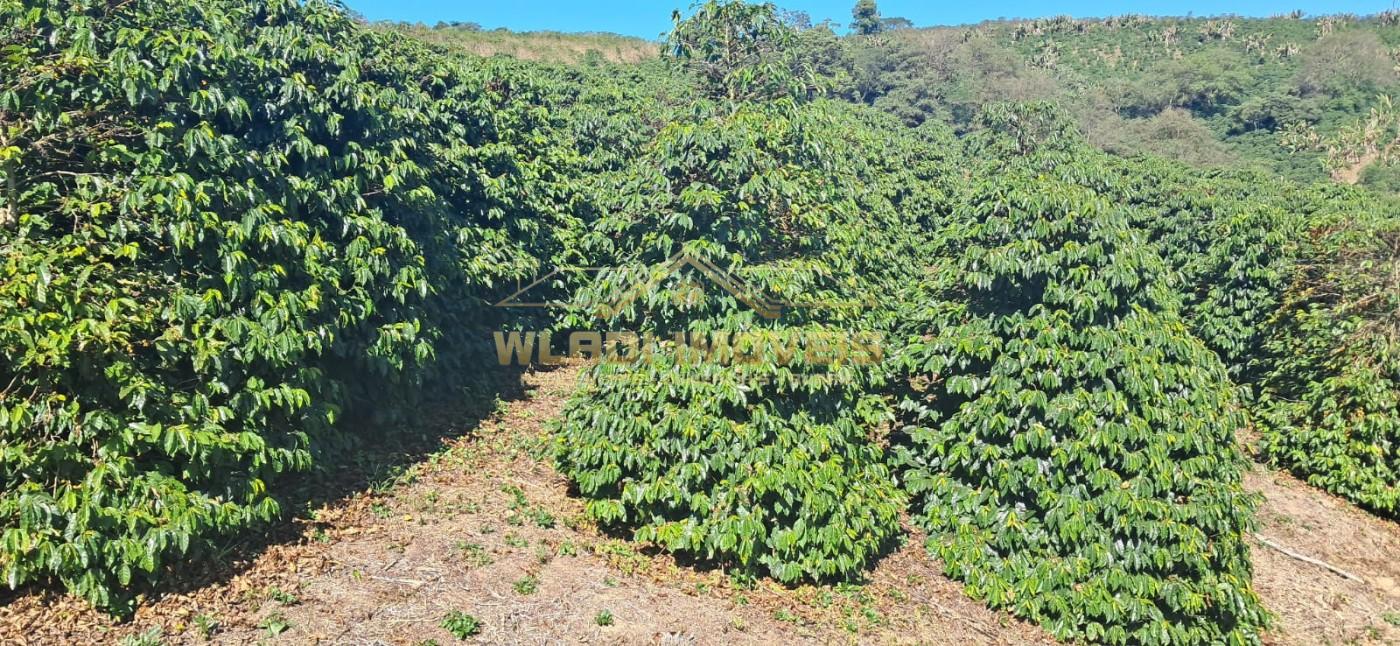 Fazenda, 32 m² - Foto 7